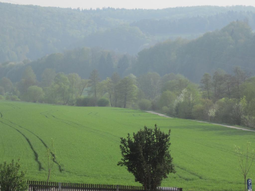 Hotel Schlossresidenz Heitzenhofen Duggendorf Eksteriør billede