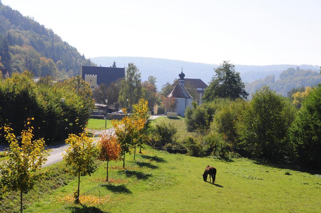 Hotel Schlossresidenz Heitzenhofen Duggendorf Eksteriør billede